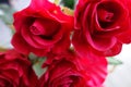 Red artificial roses Royalty Free Stock Photo