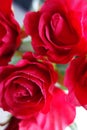 Red artificial roses Royalty Free Stock Photo
