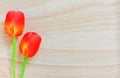 Red artificial tulips on wood background, copy space