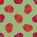 Red aspen leaf seamless vector pattern background. Beautiful hand drawn leaves in fall colors on green backdrop Royalty Free Stock Photo