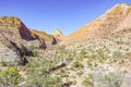 Car road in Zion national park Royalty Free Stock Photo