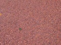 Red asphalt on dutch cycling lane.