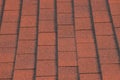 Red asphalt shingles on house