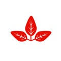 Red autmn leaf vector