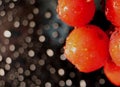 red autumn berries on a dark background with water drops in autumn, macro photography