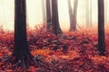 Red autumn forest with fog