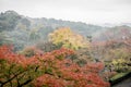 Red Autumn Japanese garden Royalty Free Stock Photo