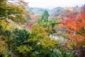 Red Autumn Japanese garden Royalty Free Stock Photo