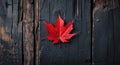 Red autumn leaf on dark rustic wooden background with ample empty space for text or graphics representation. Royalty Free Stock Photo