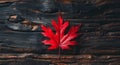 Red autumn leaf on dark rustic wooden background with ample empty space for text or graphics representation Royalty Free Stock Photo