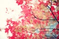 Red autumn leafs Royalty Free Stock Photo