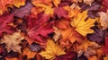 red autumn leaves background, Vibrant autumn leaf texture create a natural and colorful seasonal backdrop