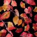 Red autumn leaves, black background. Seamless contrast autumn pattern. Watercolor Royalty Free Stock Photo