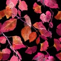 Red autumn leaves, black background. Seamless contrast autumn pattern. Watercolor Royalty Free Stock Photo