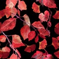 Red autumn leaves, black background. Seamless contrast autumn pattern. Watercolor