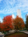 Red Autumn Leaves, Chicago Royalty Free Stock Photo