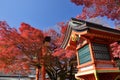 Red autumn leaves and shrine, Kyoto Japan. Royalty Free Stock Photo