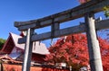 Red autumn leaves and shrine's Torii gate, Kyoto Japan. Royalty Free Stock Photo