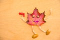 Red autumn maple leaf