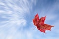 Red autumn maple leaf falling against the swirling sky Royalty Free Stock Photo