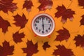 Red autumn maple leaves and a red alarm clock on an orange background Royalty Free Stock Photo