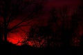 Red autumn sky during sunset with black shapes of leafless trees Royalty Free Stock Photo