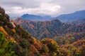 Red autumnal leaves Royalty Free Stock Photo