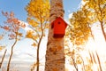 Red aviary, bird house