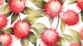 Rambutan Pattern: Hyperrealistic Watercolour Style With Pink Brisbane Flower