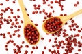 Red Azuki beans in spoon Royalty Free Stock Photo