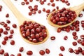 Red Azuki beans Royalty Free Stock Photo