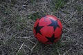 Red baby ball on the grass