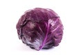 Red baby cabbage on white background