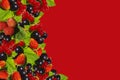 Red background with fresh berries. Royalty Free Stock Photo