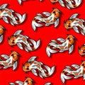 koi fish pattern Royalty Free Stock Photo