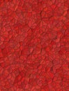 Red background with little stones texture Royalty Free Stock Photo