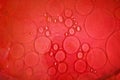 Red background oil transparent circle bubbles Royalty Free Stock Photo