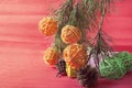 On a red background, a pine branch with orange balls hangs from above, a box with a gift, cones and green balls lies under the bra