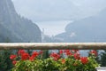 Red balcony with geranium