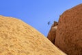 Red bald granite peaks, one green dried tree, blue sky background, ancient orange rocks, natural yellow stones, Swakopmund