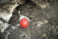 Red ball on background of asphalt. Abstract art. Sphere made of plastic Royalty Free Stock Photo