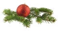 red ball and branch of Christmas tree isolated Royalty Free Stock Photo