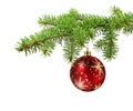 Red ball on christmas tree branch
