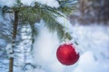 Red ball on a fir-tree branch in the snow-covered wood. Royalty Free Stock Photo