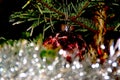 A red ball in the fir tree Royalty Free Stock Photo