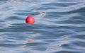 A red ball floats on the surface of the water Royalty Free Stock Photo