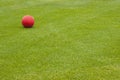 Red Ball on Green Field Royalty Free Stock Photo