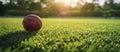 Red Ball on Green Field Royalty Free Stock Photo