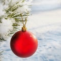 A red ball hangs on a snow-covered fir branch. There are large snowflakes. New Year and Christmas concept Royalty Free Stock Photo