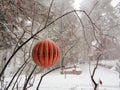 Red Ball Ornament in the Snow